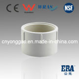 Made in China PVC Pipe Fitting ASTM D2665 for Drainage (UDA006)